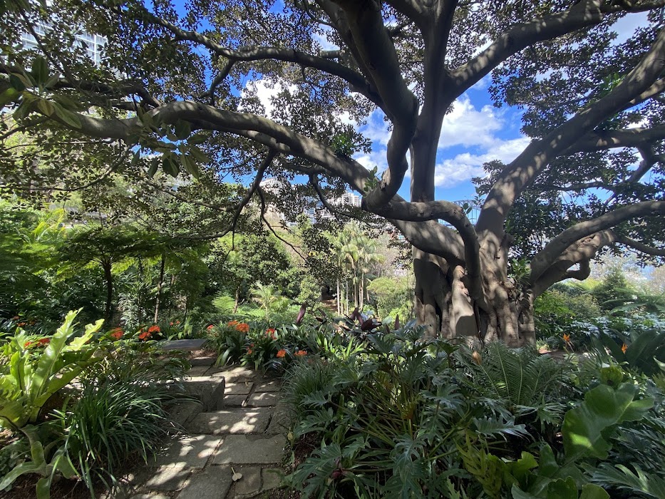 Wendy Whiteley's Secret Garden küçük fotoğraf 3