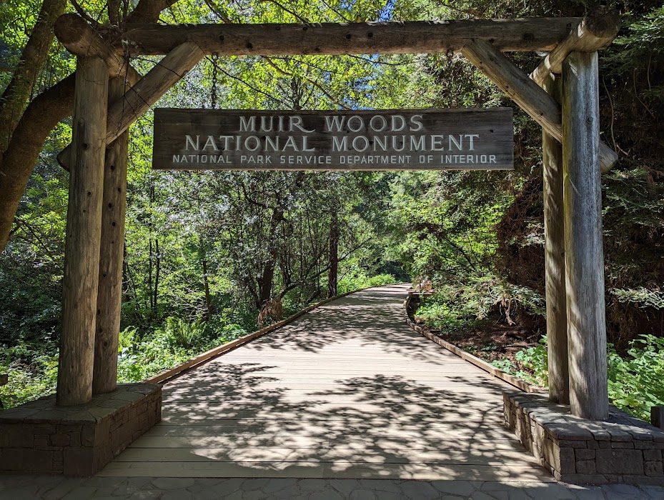 Muir Woods National Monument küçük fotoğraf 3