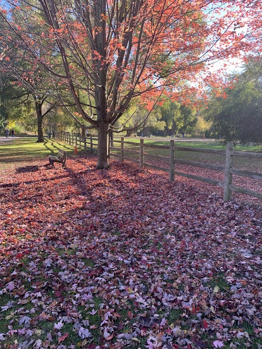 Sunnybrook Park küçük fotoğraf 3