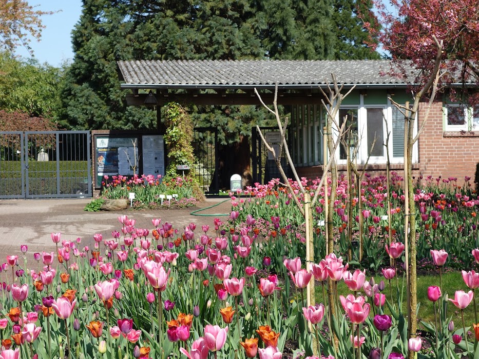 Botanischer Garten der Universität Hamburg - Loki-Schmidt-Garten küçük fotoğraf 2