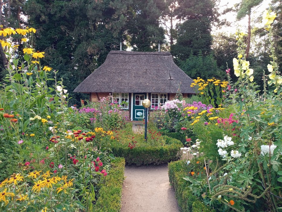 Botanischer Garten der Universität Hamburg - Loki-Schmidt-Garten küçük fotoğraf 3