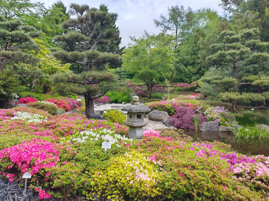 Botanischer Garten der Universität Hamburg - Loki-Schmidt-Garten küçük fotoğraf 4