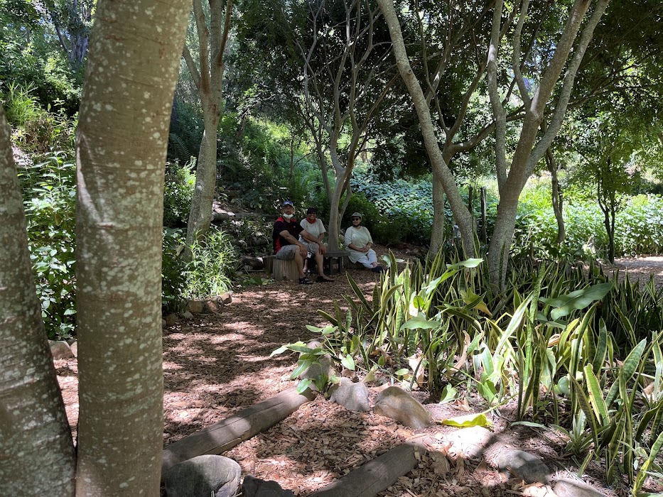 Upper Liesbeek River Garden küçük fotoğraf 2
