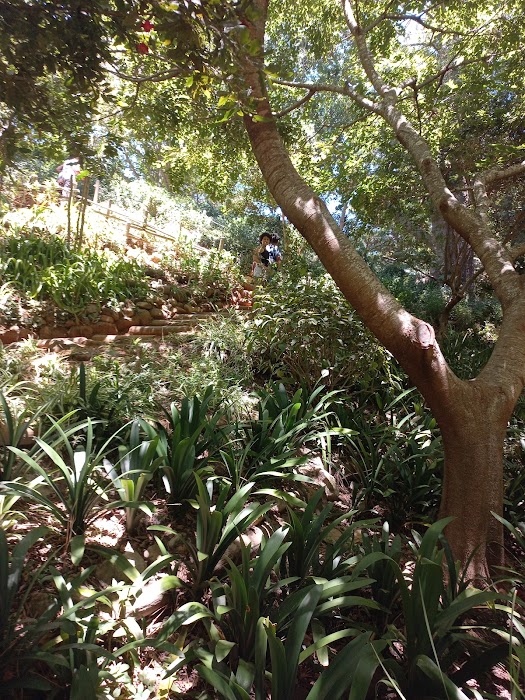 Upper Liesbeek River Garden küçük fotoğraf 4