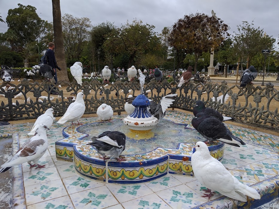 Parque de las Palomas küçük fotoğraf 4