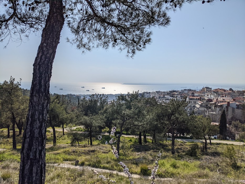 Seyh Su küçük fotoğraf 3