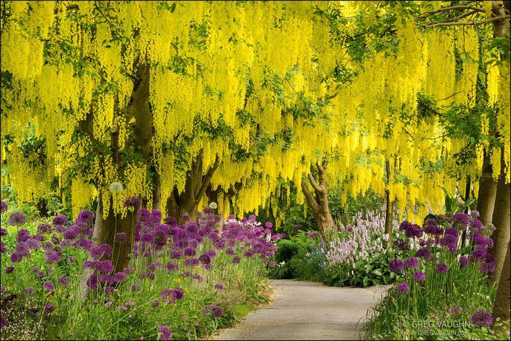 VanDusen Botanical Garden küçük fotoğraf 3
