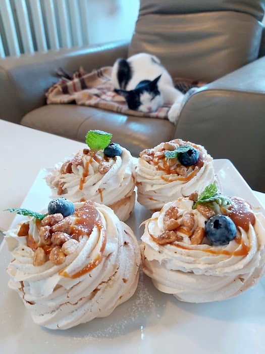 Kotka Cafe (dla 14+) küçük fotoğraf 3