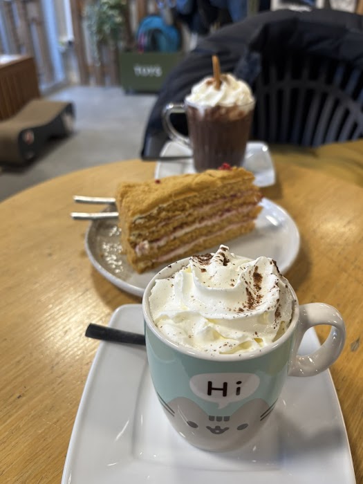 Kotka Cafe (dla 14+) küçük fotoğraf 4