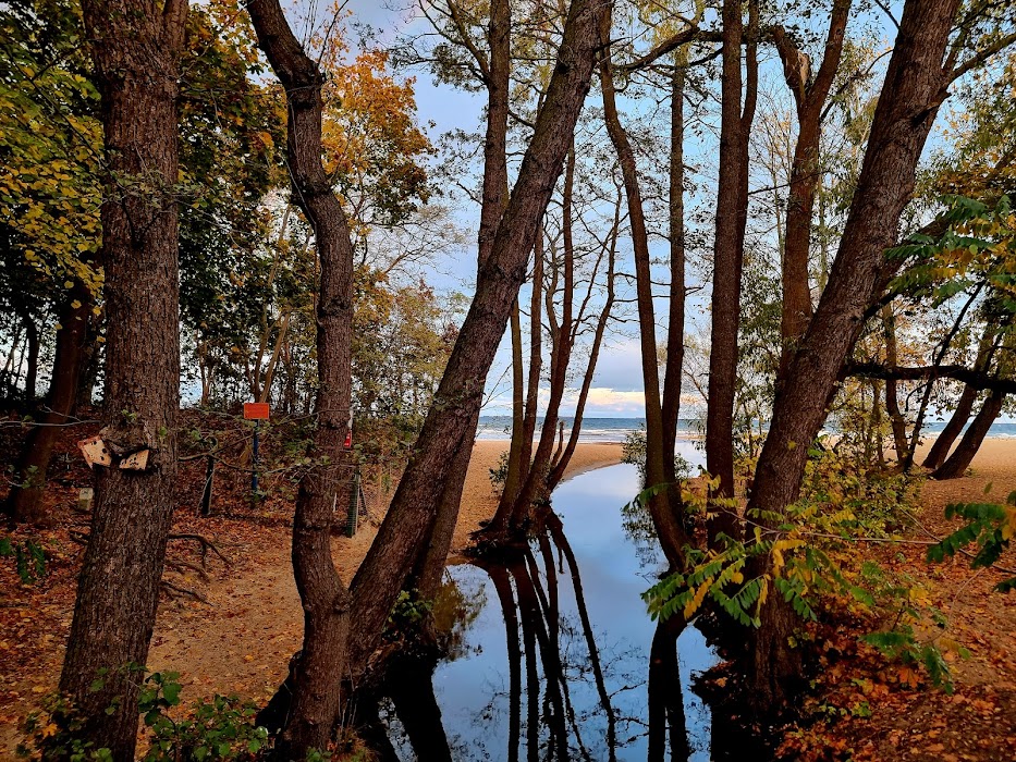 Park Jelitkowski küçük fotoğraf 3