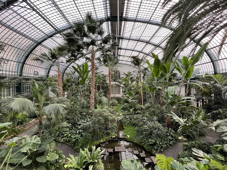 Palmengarten Frankfurt küçük fotoğraf 4