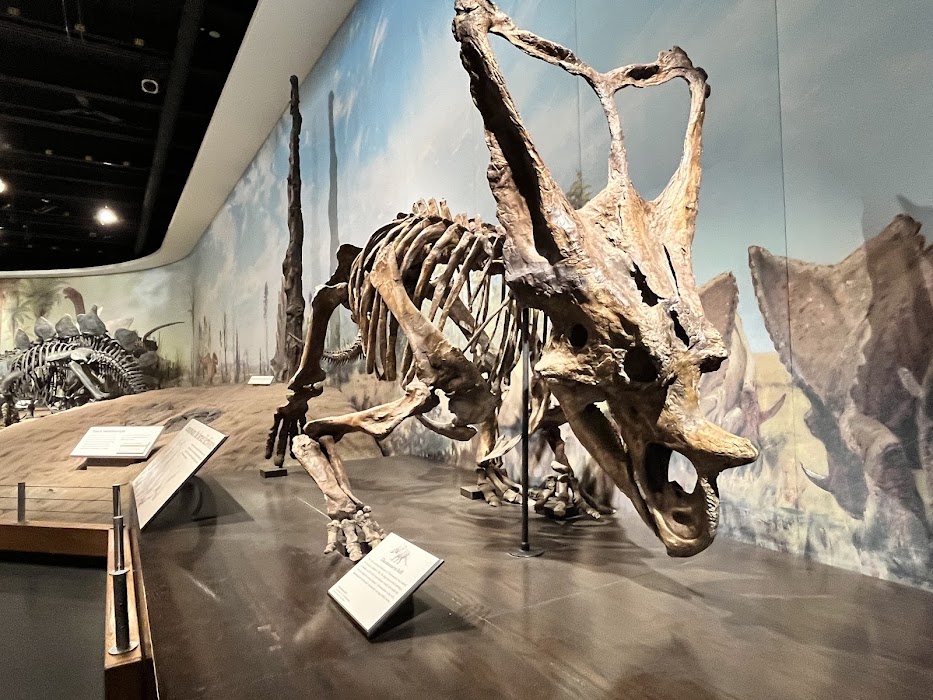 Royal Tyrrell Museum küçük fotoğraf 3