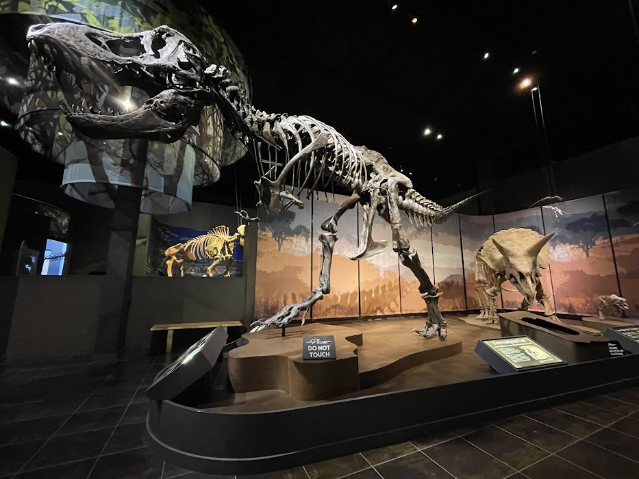 Tellus Science Museum küçük fotoğraf 3