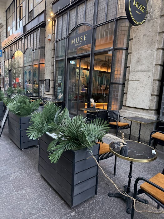 Cafe Muse küçük fotoğraf 3