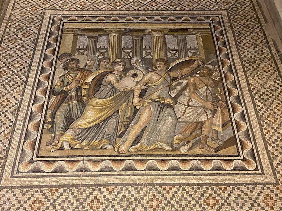 Zeugma Mozaik Müzesi küçük fotoğraf 3