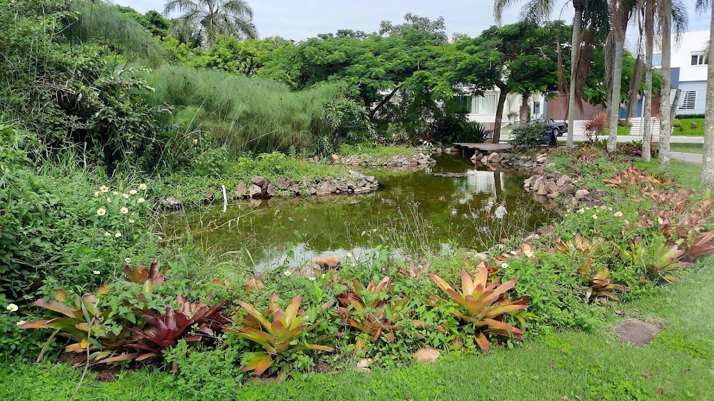 Bosque Amoraeville küçük fotoğraf 4