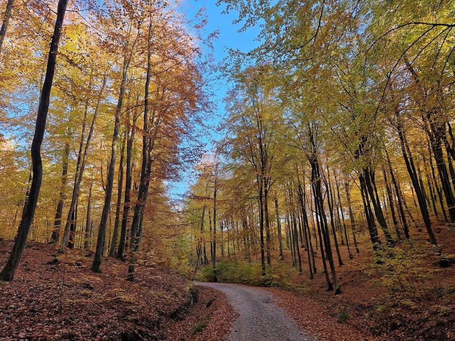 Trójmiejski Park Krajobrazowy küçük fotoğraf 2