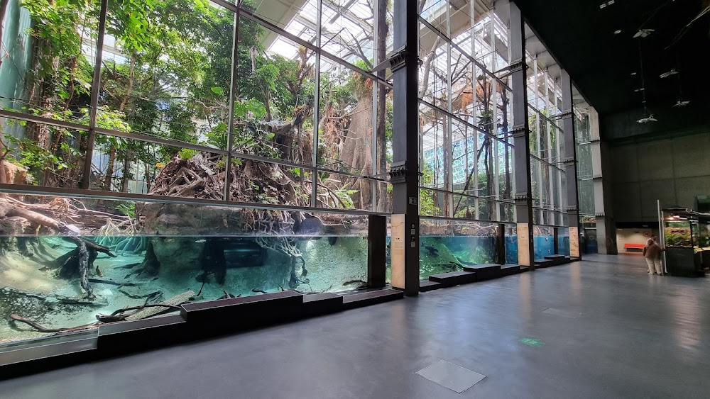 Museo de la Ciencia CosmoCaixa küçük fotoğraf 3