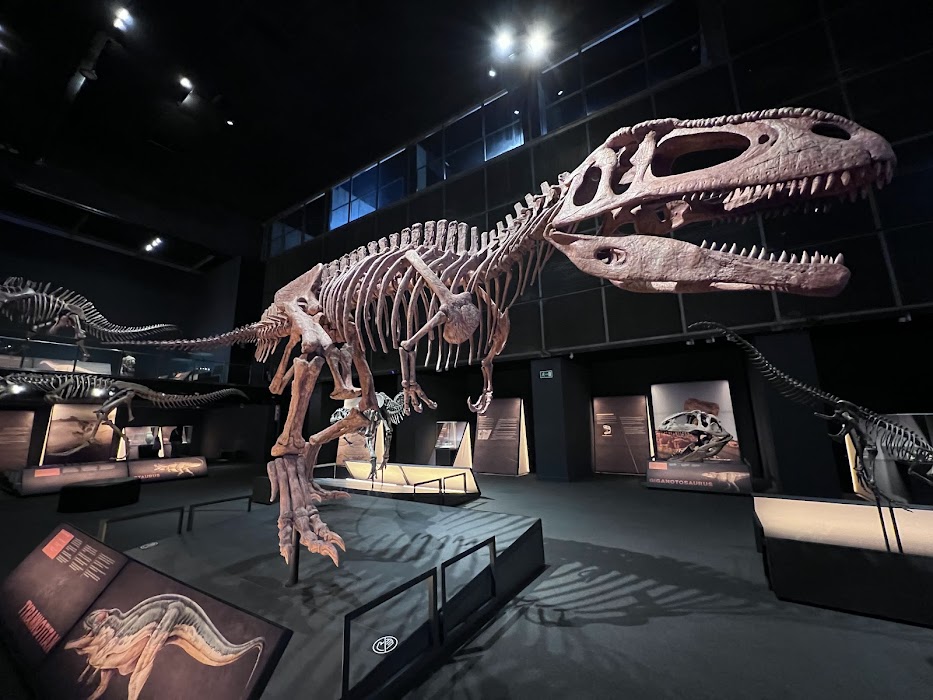 Museo de la Ciencia CosmoCaixa küçük fotoğraf 4