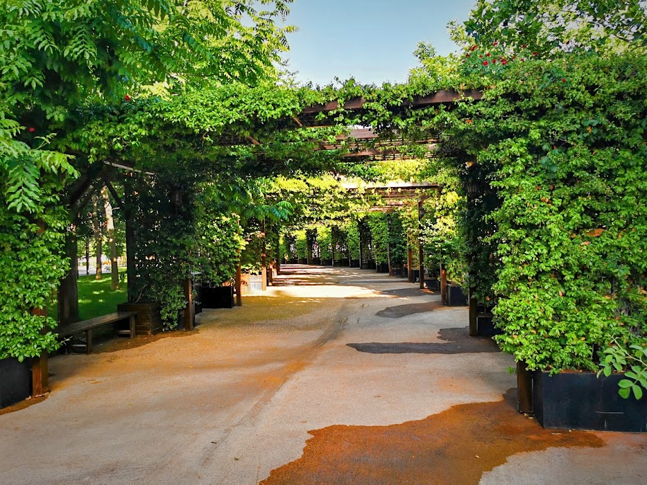 Koru Park fotoğraf 1