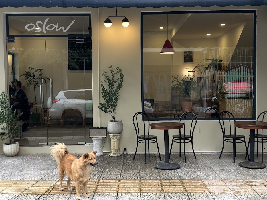 Oslow Coffee fotoğraf 1