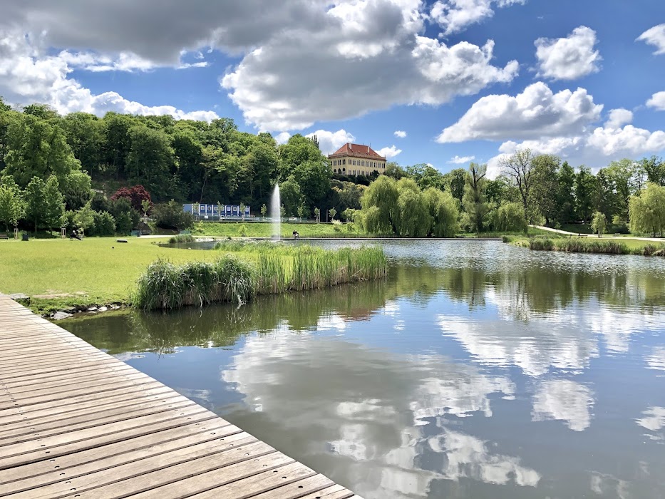 Královská obora Stromovka fotoğraf 1