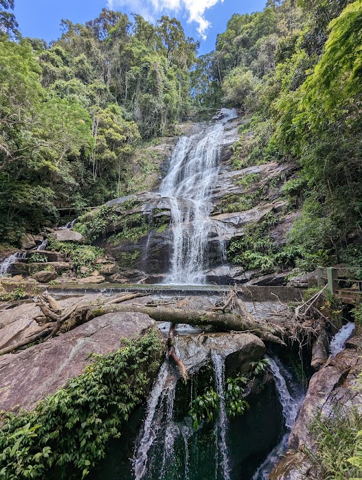 Parque Nacional da Tijuca fotoğraf 1