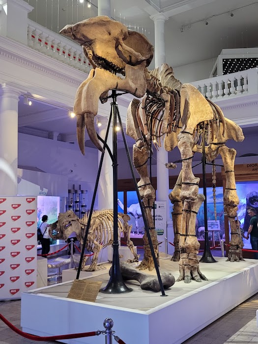 Grigore Antipa National Museum of Natural History fotoğraf 1
