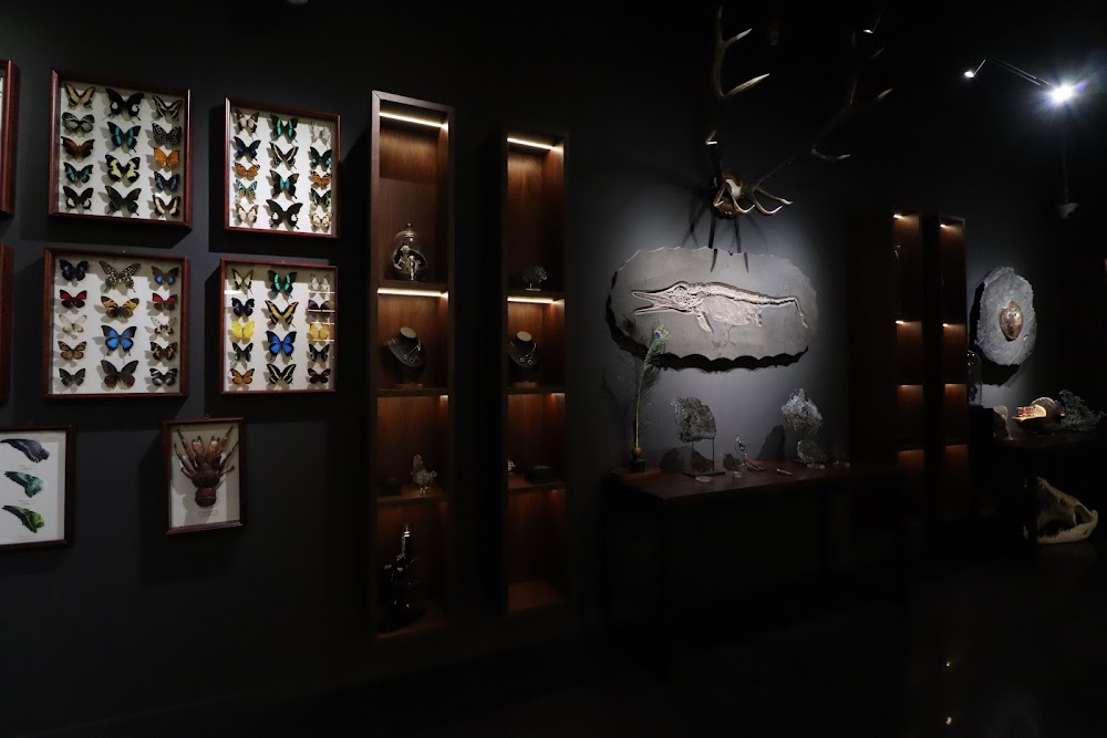 Artefactum Gallery Dubai fotoğraf 1