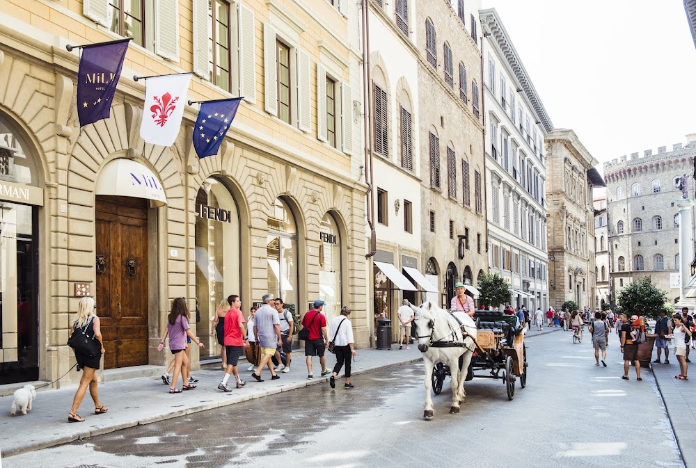 Milu Hotel Florence fotoğraf 1