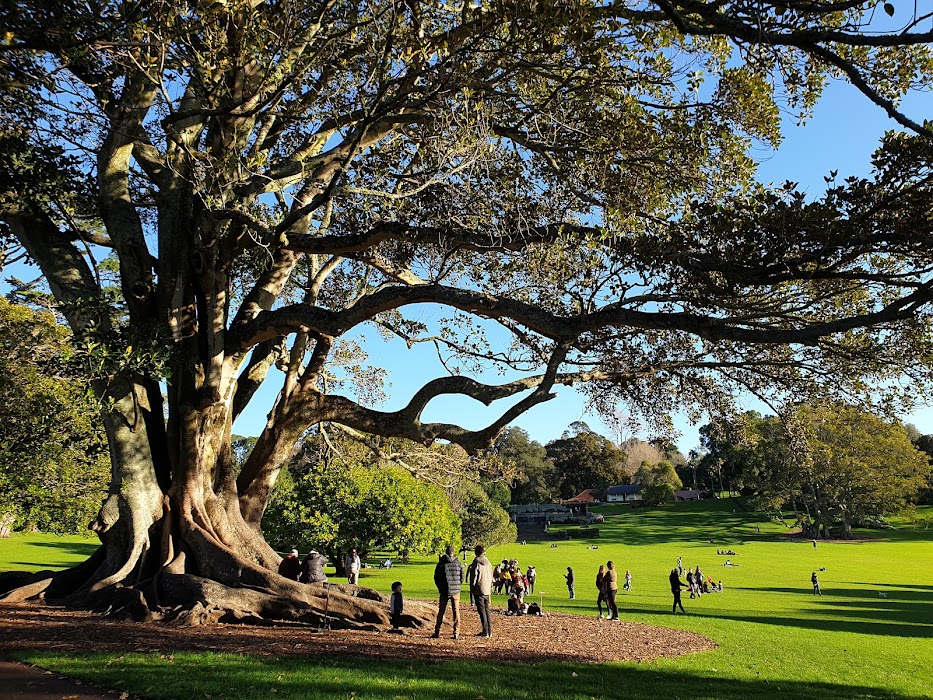 Cornwall Park fotoğraf 1