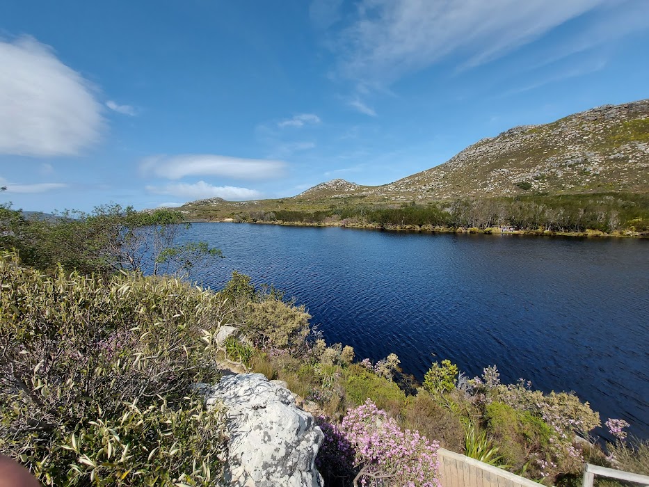 Silvermine Nature Reserve fotoğraf 1