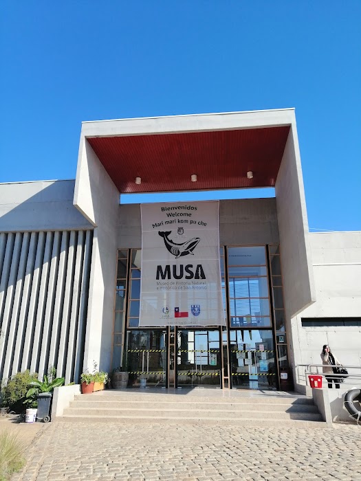 Museo de Historia Natural e Histórico de San Antonio (MUSA) fotoğraf 1