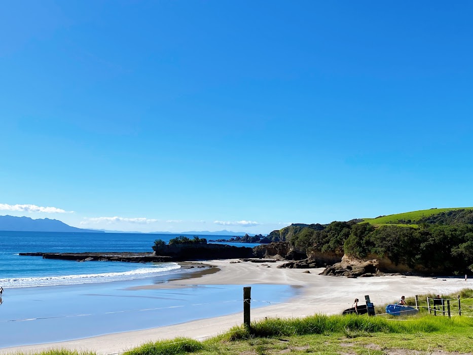 Tawharanui Regional Park fotoğraf 1