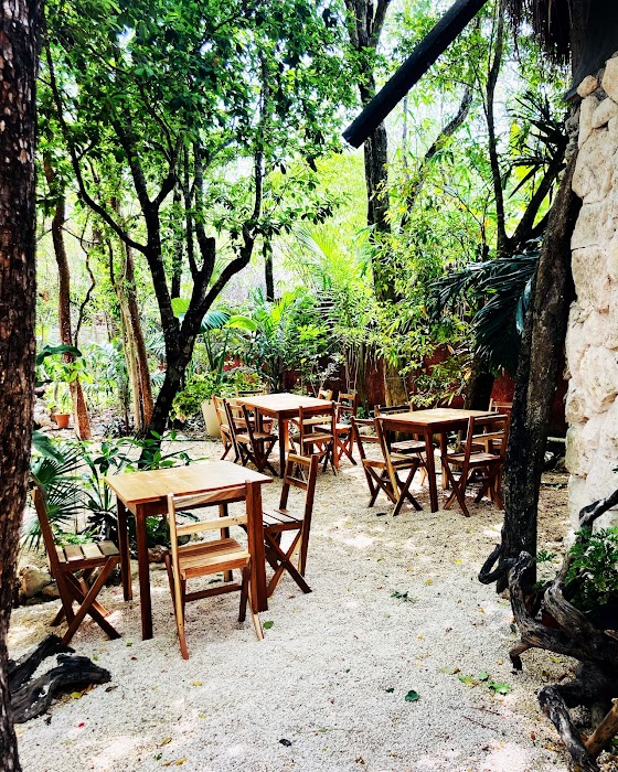 Jungle Jax Tulum fotoğraf 1