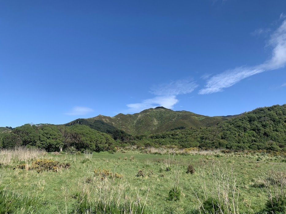 Tawatawa Reserve fotoğraf 1