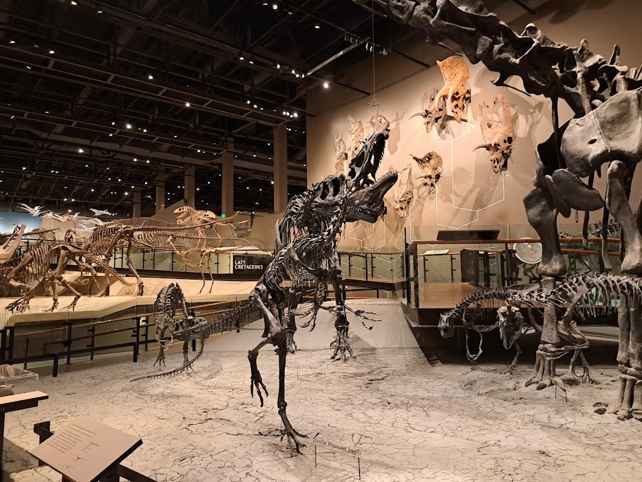 Natural History Museum of Utah fotoğraf 1
