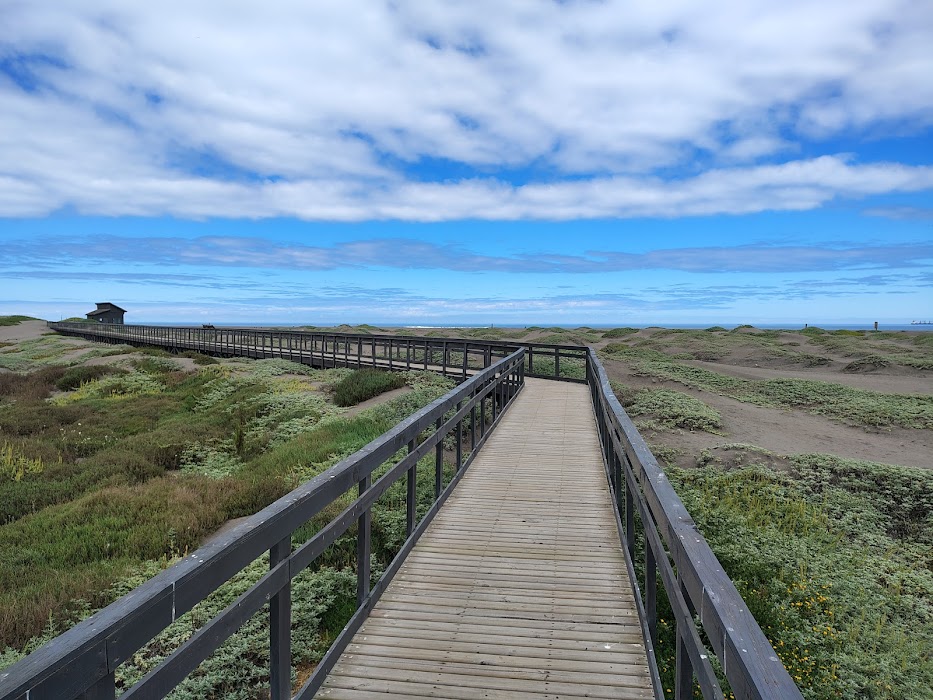 Parque Humedal Río Maípo fotoğraf 1