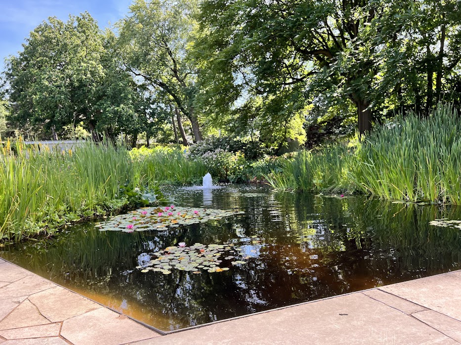 Alter Botanischer Garten fotoğraf 1