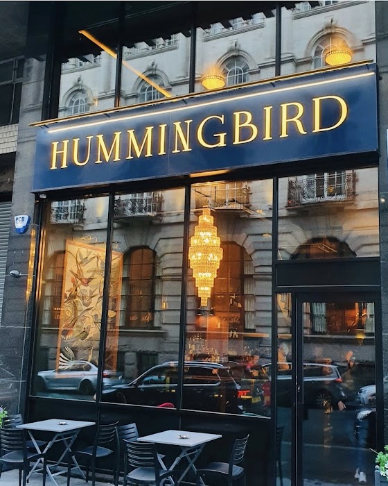 Hummingbird fotoğraf 1