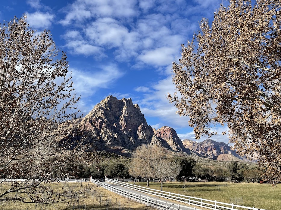 Spring Mountain Ranch State Park fotoğraf 1