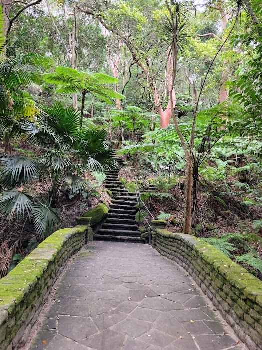 Cooper Park fotoğraf 1
