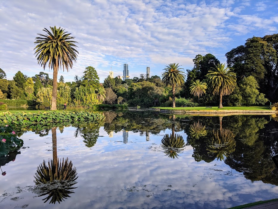 Royal Botanic Gardens Victoria - Melbourne Gardens fotoğraf 1