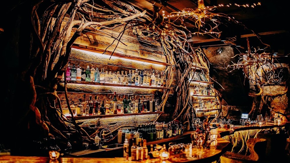 Root Bar fotoğraf 1