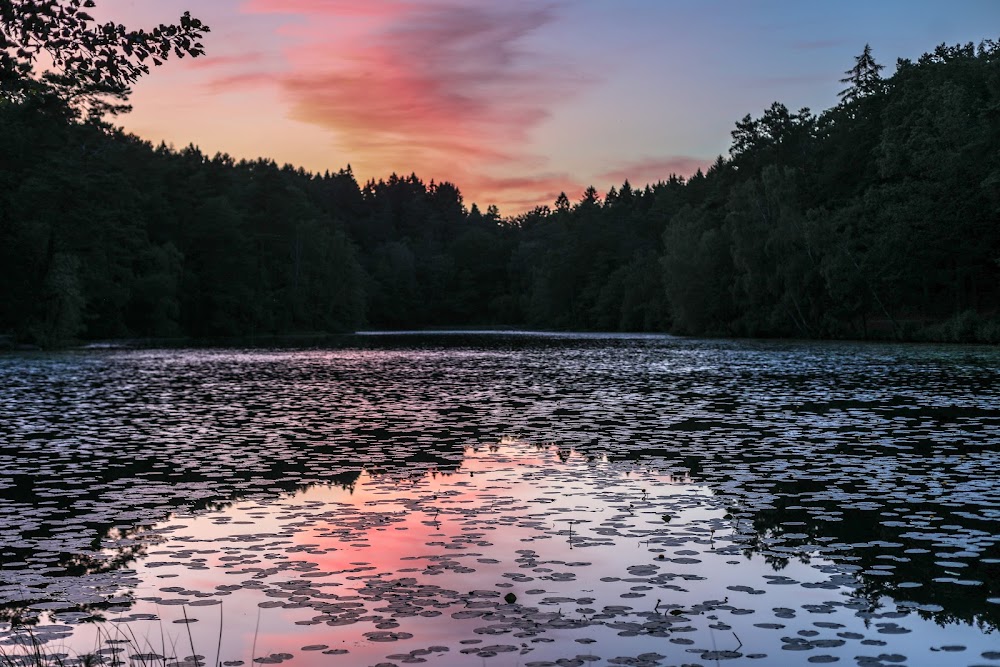 Slätta Damm Hisingsparken fotoğraf 1
