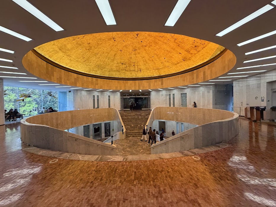 Museo de Arte Moderno fotoğraf 1