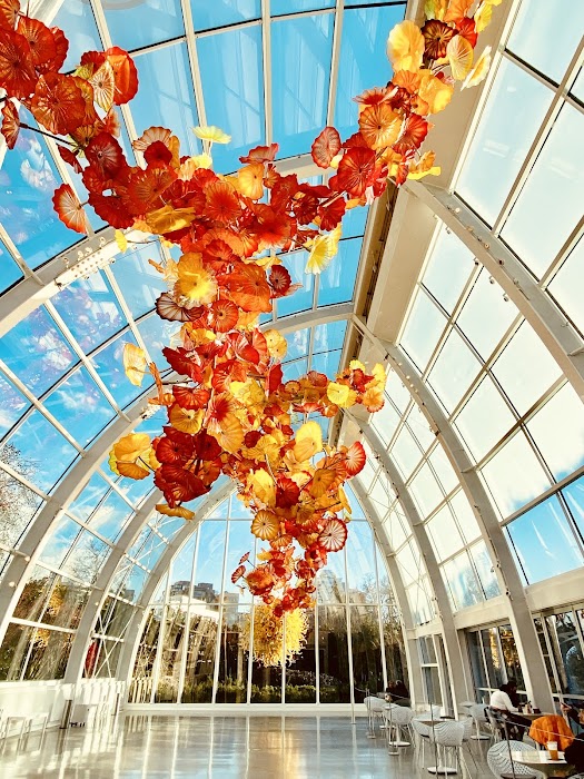 Chihuly Garden and Glass fotoğraf 1