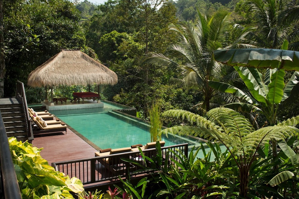 Hanging Gardens Of Bali fotoğraf 1