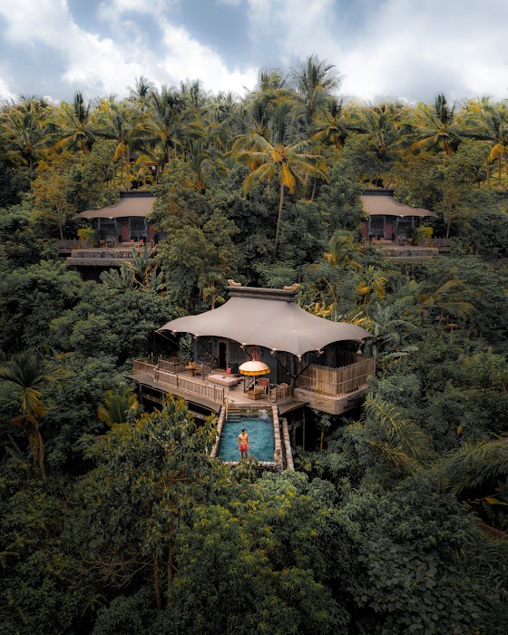 Capella Ubud, Bali fotoğraf 1