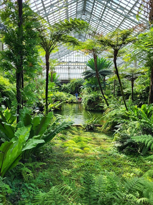 Garfield Park Conservatory fotoğraf 1